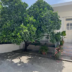 For Rent Habipi Wlora